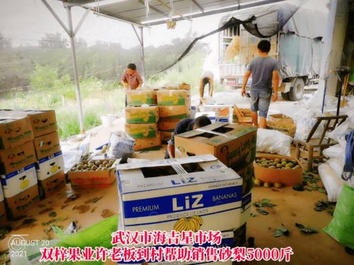 線上線下齊發(fā)力，石橋驛鎮(zhèn)為滯銷農(nóng)產(chǎn)品打開(kāi)新銷路